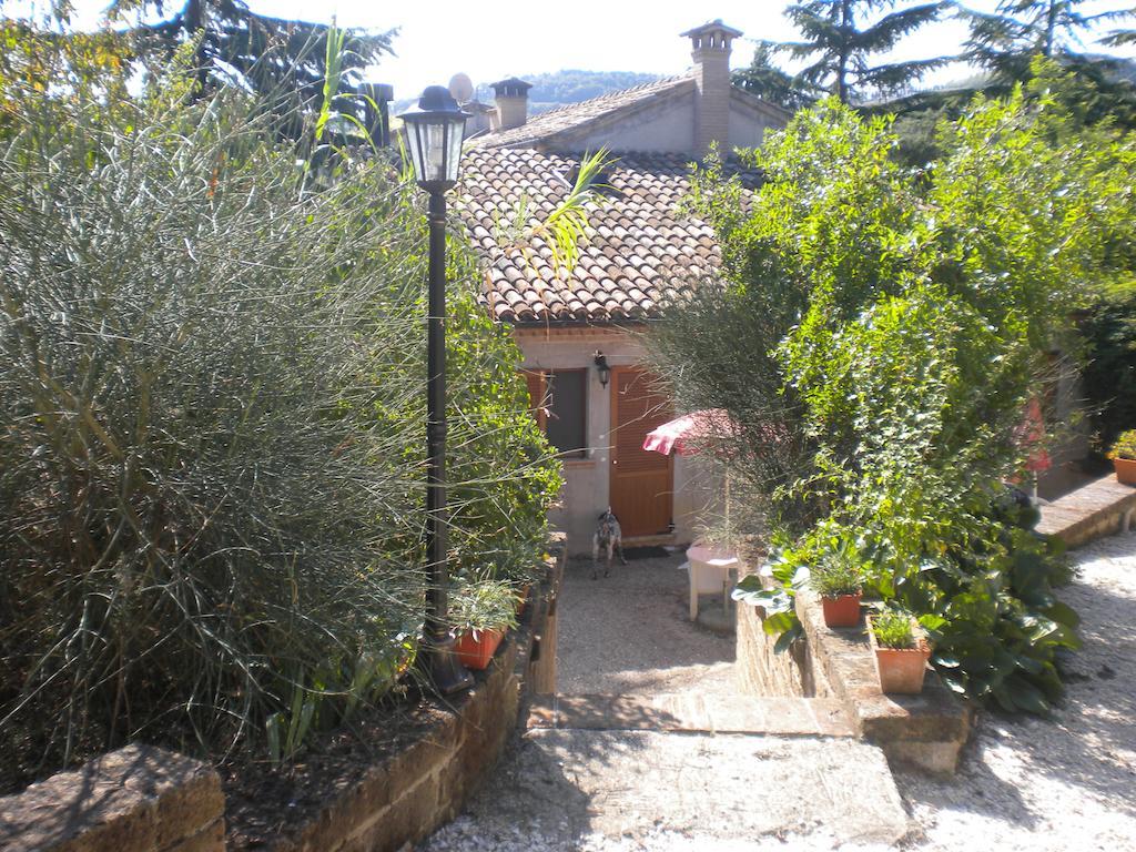 Agriturismo Le Vergare Offagna Extérieur photo